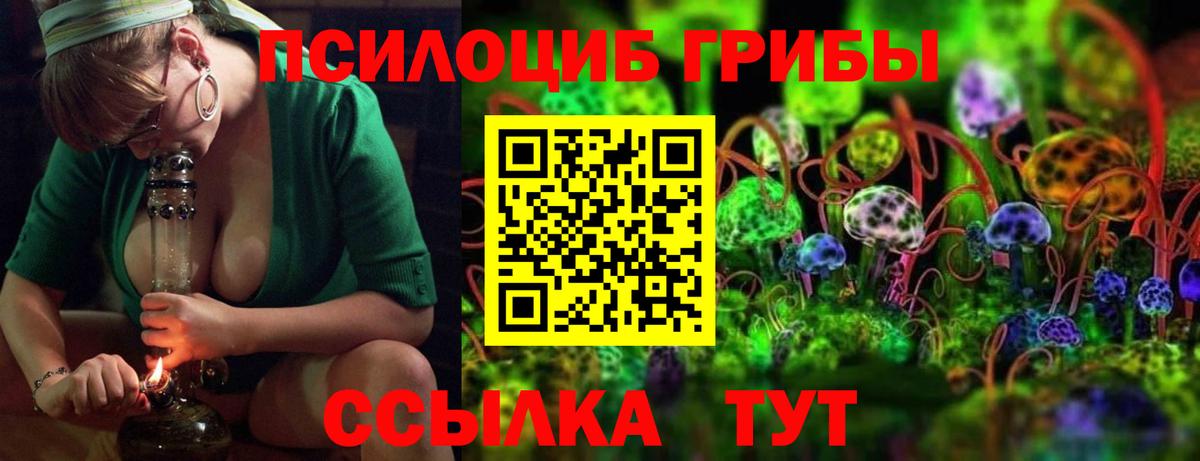 Галлюциногенные грибы прущие грибы Псков